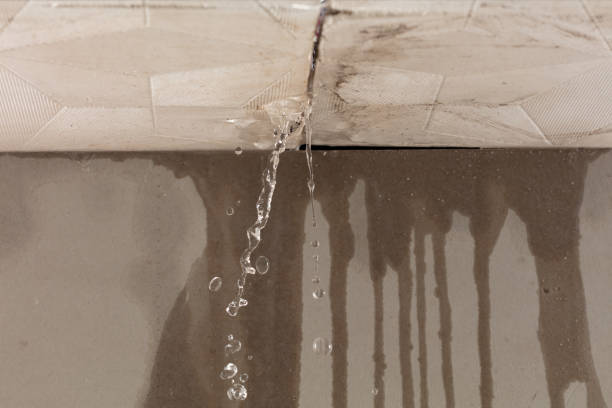 Professional Structural Drying technician working in Staples, CT